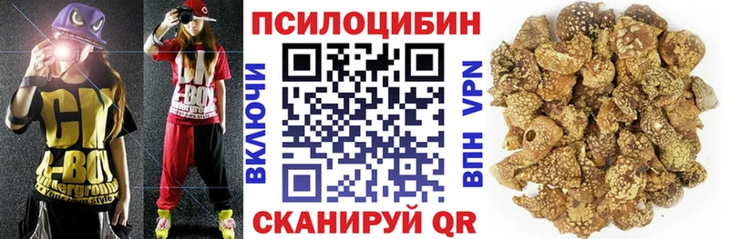 Галлюциногенные грибы мицелий Багратионовск