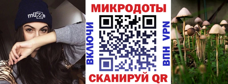 Купить где  Багратионовск  Псилоцибиновые грибы прущие грибы 